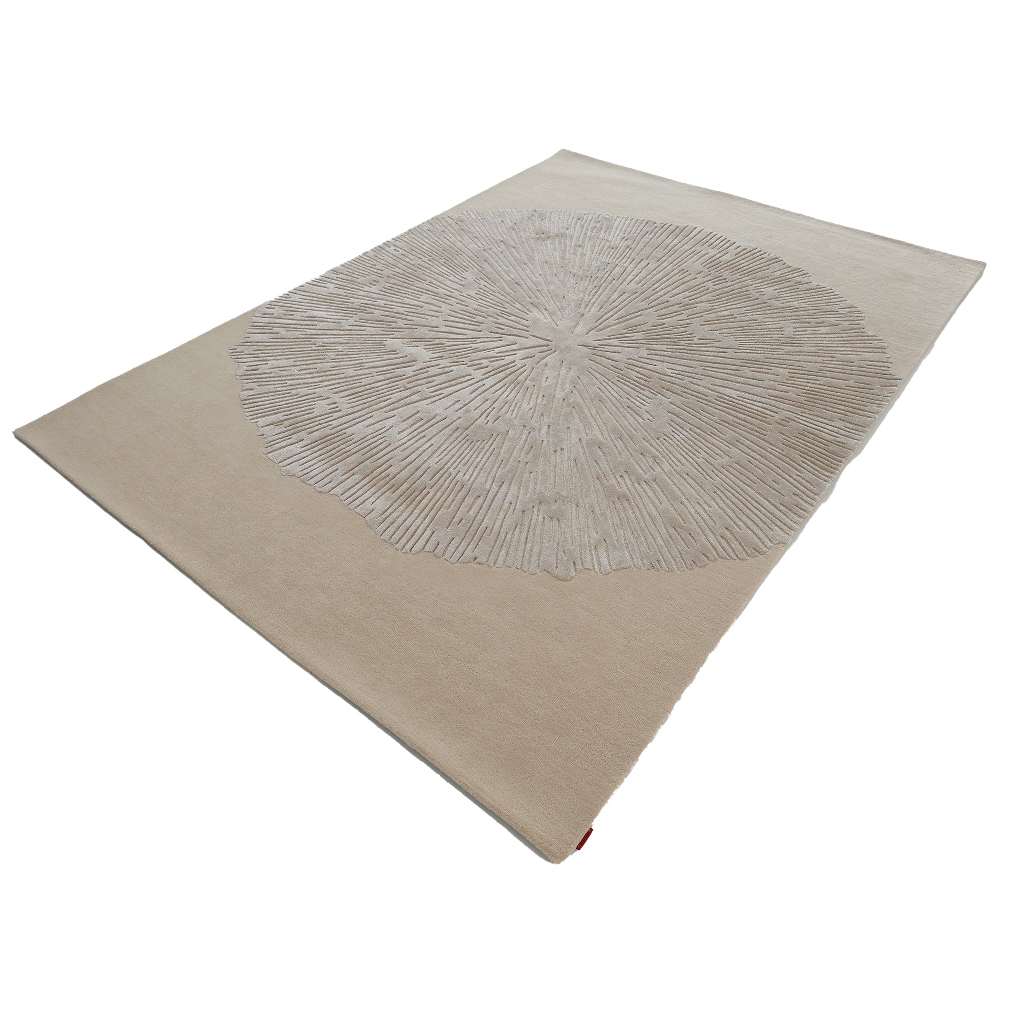 The RAMSHA HOME Hand-Tufted Carpet For Home Decor HTWV-76 is a rectangular beige area rug featuring a bold, textured central circular pattern reminiscent of tree rings, shown from a low angle.