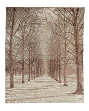 The RAMSHA HOME Hand-Knotted Woodland Bamboo Silk & NZ Wool Rug (HKWB-04, 240x300 CM) showcases a realistic beige and brown tree-lined pathway in winter, with bare branches and a softly snow-dusted ground.
