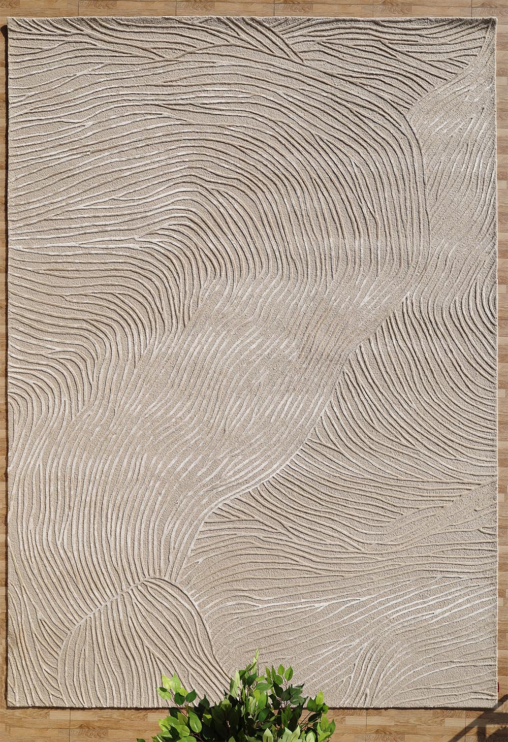The RAMSHA HOME Natural White Color Handmade Area Rug - HTWV-143 (300x400 cm) lies on a wooden floor, its textured lines evoking natural topography. A green plant at the edge enhances the earthy charm of this handtufted wool rug.