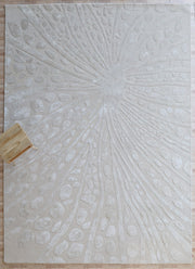 Luxury Abstract Carpet HTWV-152 200×300 cm Handmade