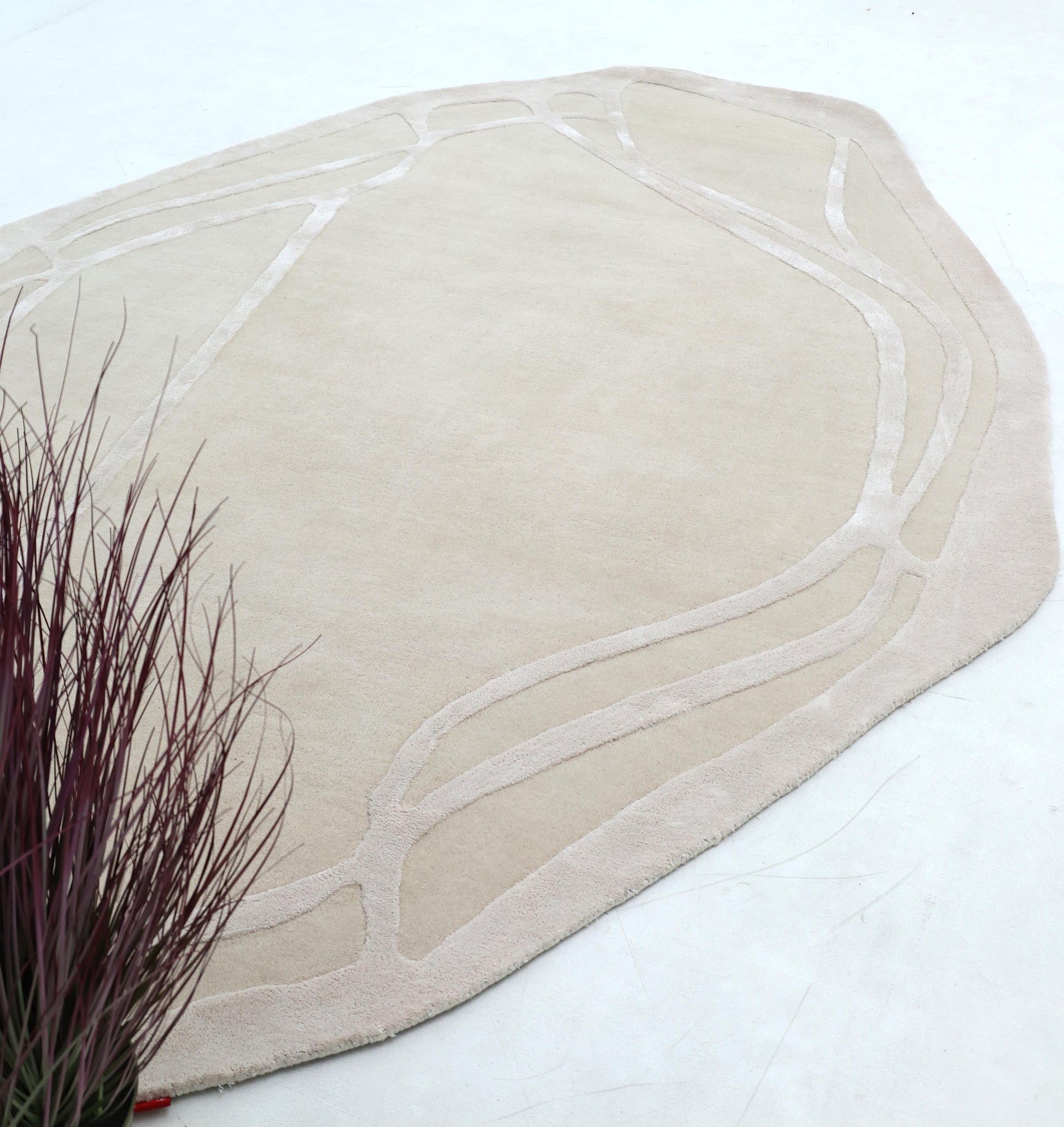 The RAMSHA HOME Handmade irregular 200x300 cm Rug HTWV-190 features beige tones and subtle abstract lines on a light floor, with dried decorative grass with reddish-purple stems shown in the lower left corner.