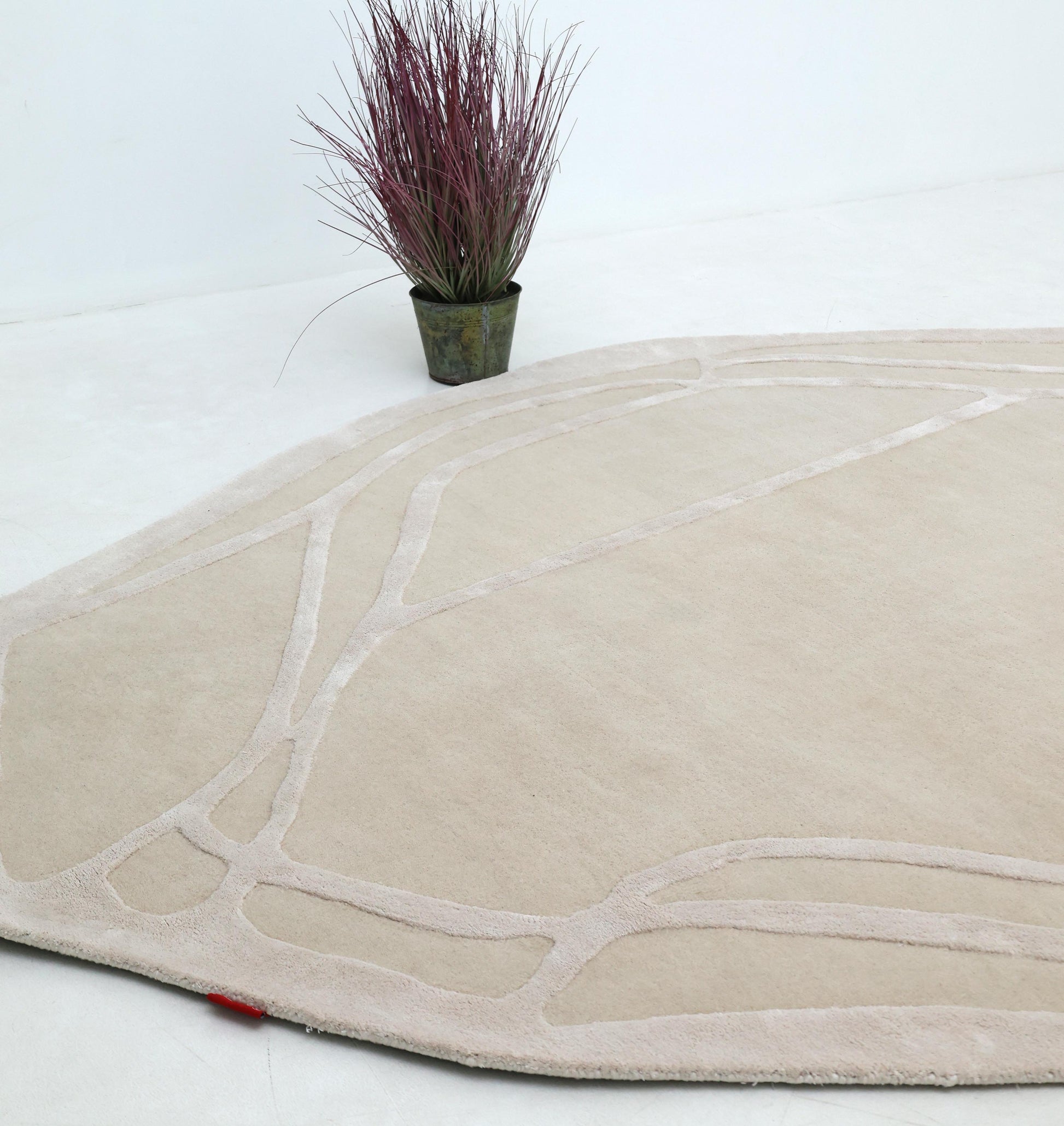 The RAMSHA HOME Handmade irregular 200x300 cm Rug HTWV-190, in cream and beige with abstract lines, lies on a light floor near a potted plant with tall purple-brown foliage against a white wall.
