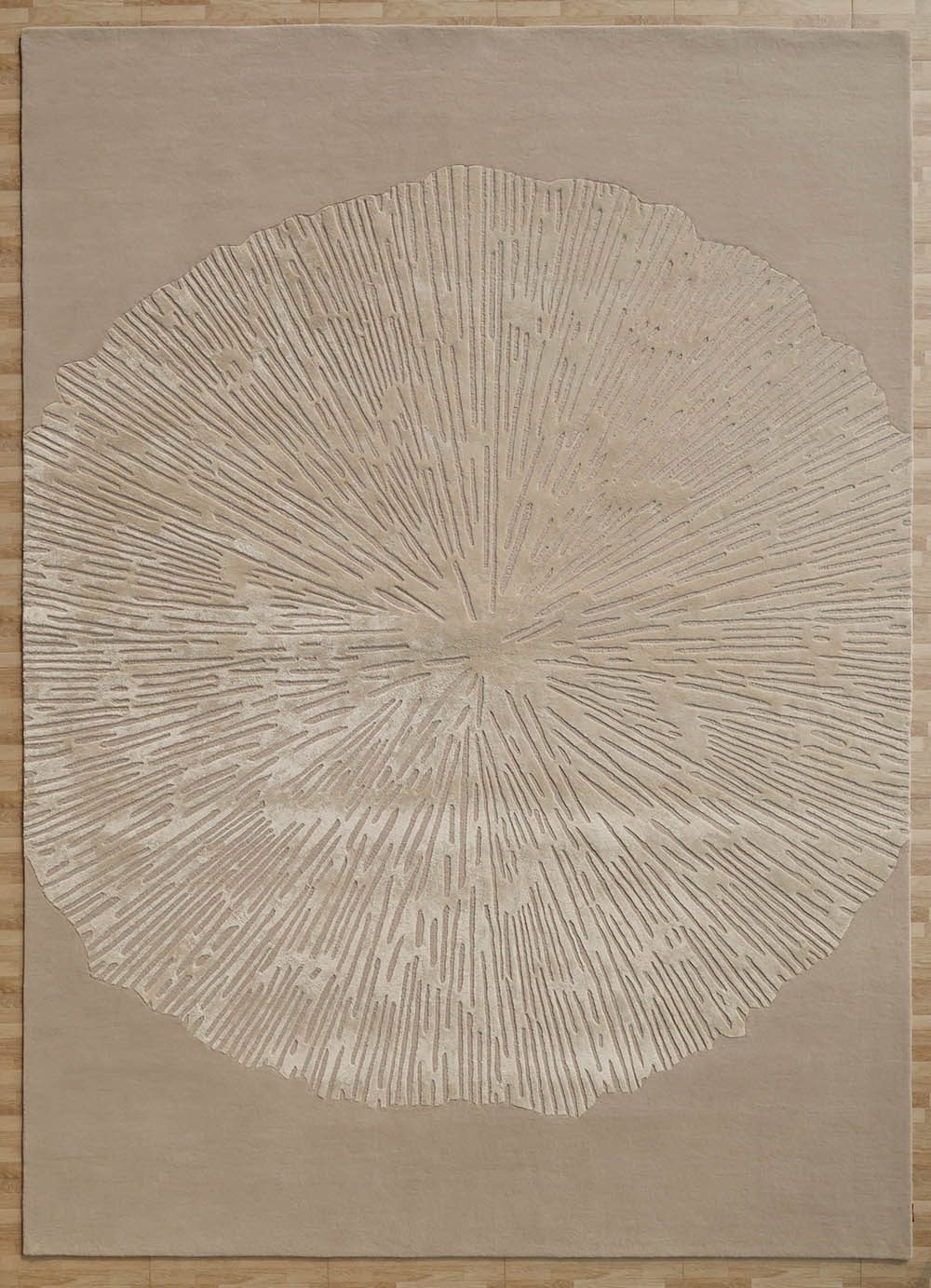 Hand-tufted carpet for home decor in multi-color, serving as a luxurious and unique addition to any room.