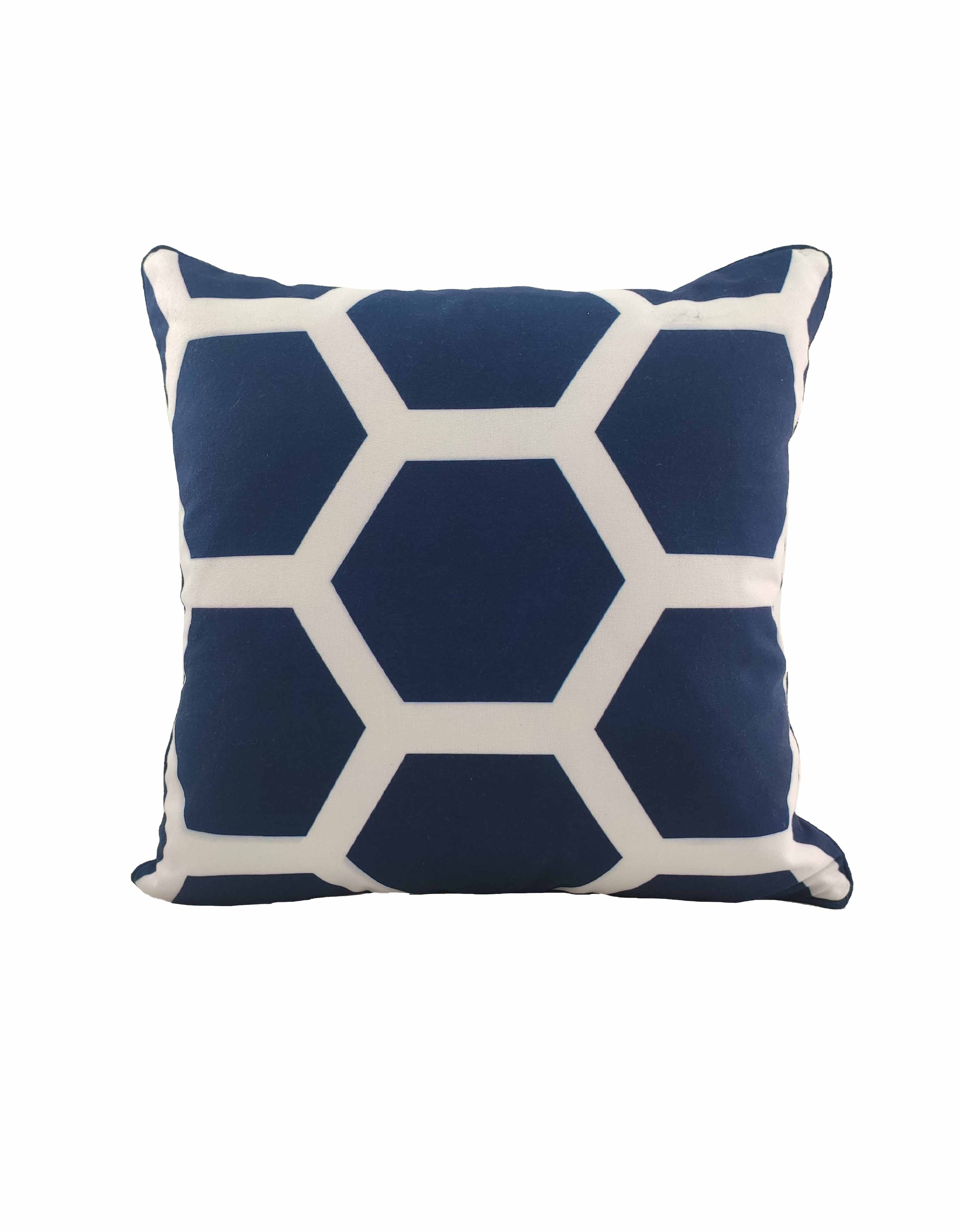 Blue & White Cushion Cover CS-113