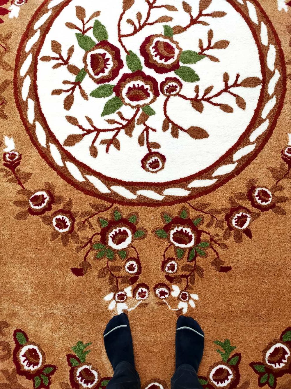 Amazing Polyester & Cotton Hall Decor Rug - HTP 06 (300x400cm)