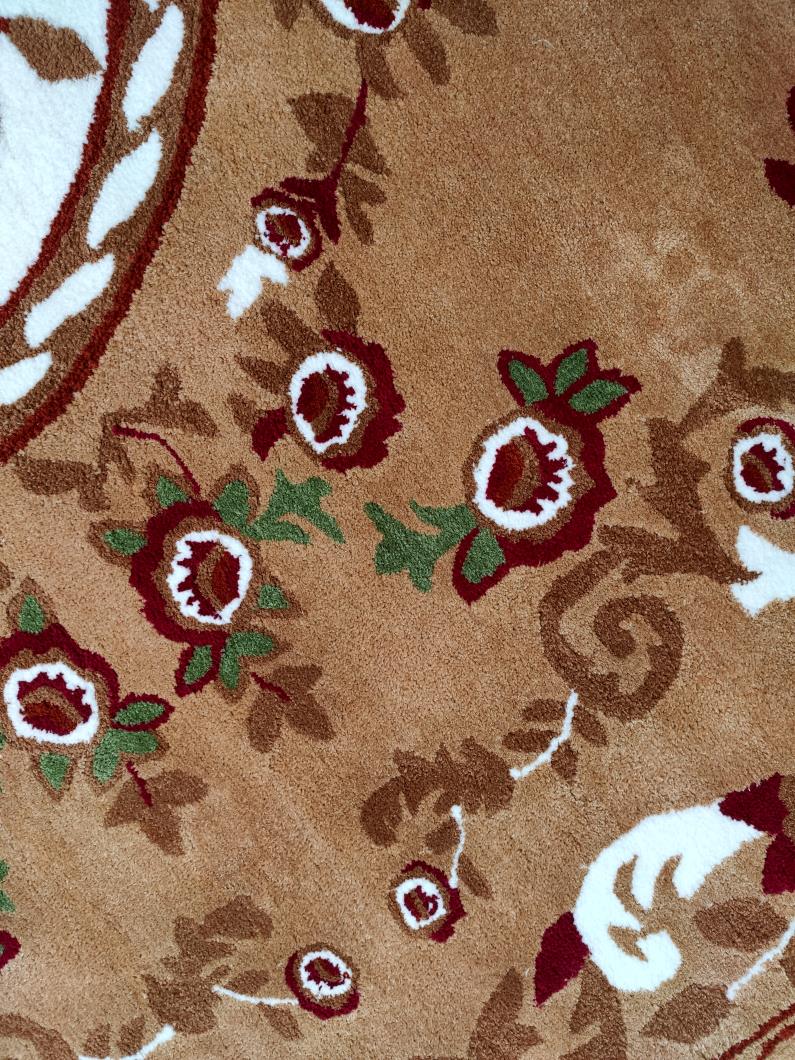 Amazing Polyester & Cotton Hall Decor Rug - HTP 06 (300x400cm)