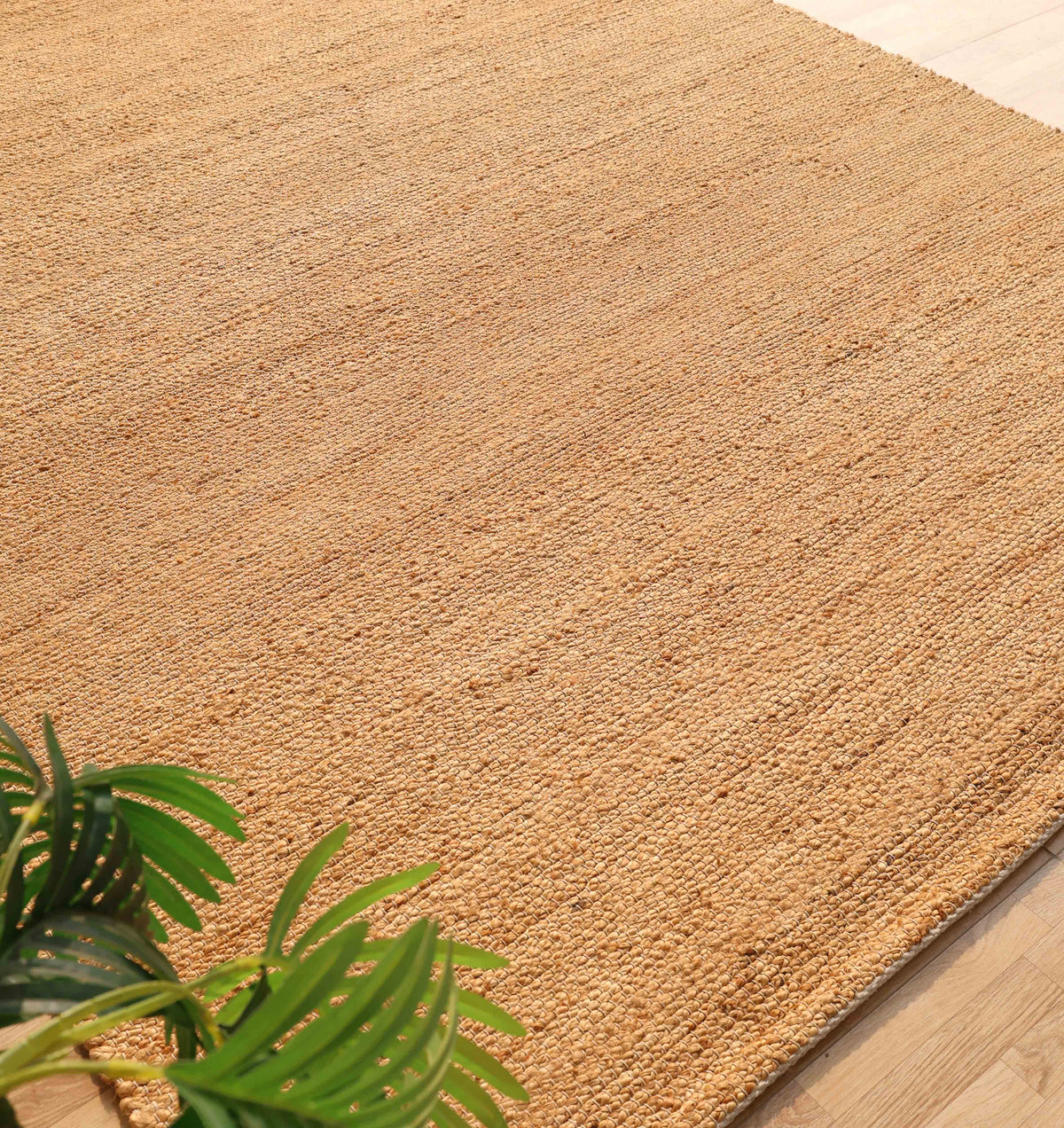 A Handmade Natural Color Hand Woven Area Rug SR-064 by RAMSHA HOME lies on a light wood floor, infusing the space with artisanal home décor charm. In the lower left corner, a green houseplant with large leaves beautifully complements the natural fibers of this RAMSHA HOME rug.