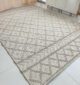 Natural & Grey Color Dining Room Decor Woven Rug - SR 026 (200x300cm)