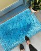 Aqua Color Doormat - MPV 02 (50x80cm) - الصورة 4