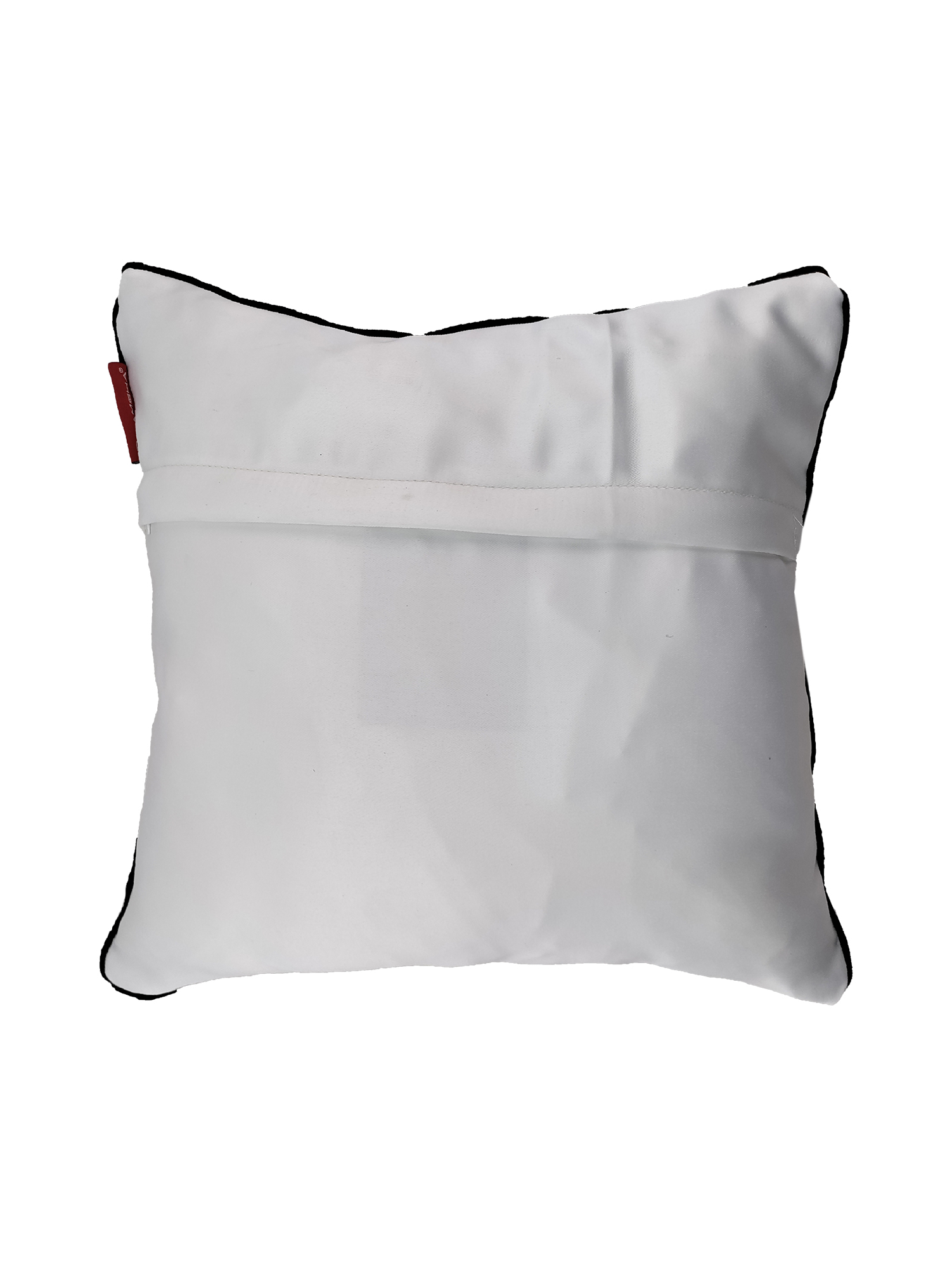 IMG_20220716_162518.jpg Multi Color Polyester Cushion with Filler for Sofa, Floor, Couch - CS 187 (45x45cm) - الصورة 4