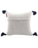 White & Blue Color Cotton Cushion with Filler for Couch, Sofa, Floor - CS 190 (45x45cm) - الصورة 4