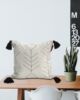 White & Blue Color Cotton Cushion with Filler for Couch, Sofa, Floor - CS 191 (45x45cm) - الصورة 5