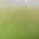 Soft polyester cushion in rainbow green color, 45X45cm