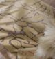 Luxurious handmade silk carpet displayed in a modern living room, available at the best carpet store in Dubai, offering premium rugs UAE.
