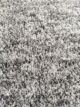 Guest Room Decor Shaggy Rug - MSD 05 (200x300cm) - الصورة 2