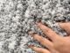 Guest Room Decor Shaggy Rug - MSD 05 (200x300cm) - الصورة 4