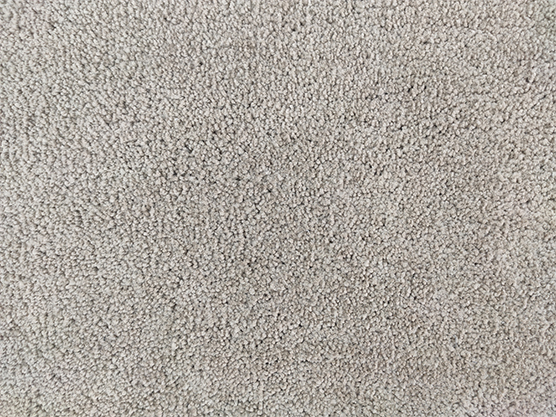IMG_20230206_144326.jpg Indoor Decor Soft & Comfort Shaggy Rug - SNR 12 (170x240cm) - الصورة 3