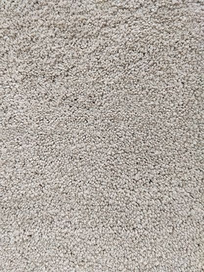 IMG_20230206_151450.jpg Indoor Decor Soft & Comfort Shaggy Rug - SNR 12 (170x240cm) - الصورة 2