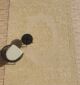 Handcrafted rectangle rug for living room decor - HTWV 56 (300x400cm) by Ramsha Home
