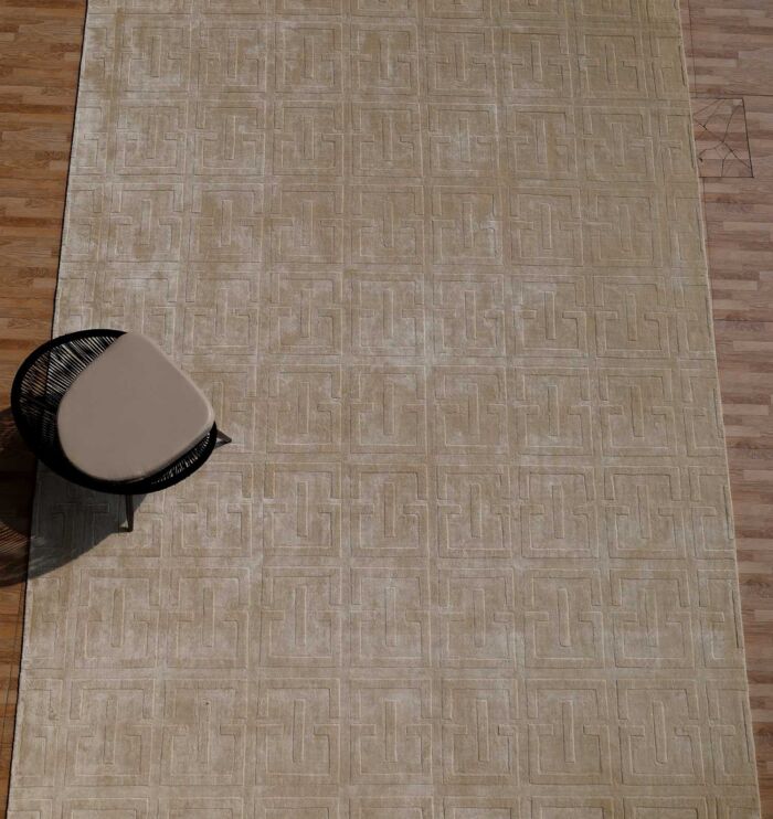Luxurious Tencel & Cotton Multi Color Handmade Rug - HL 06 (300x400cm)