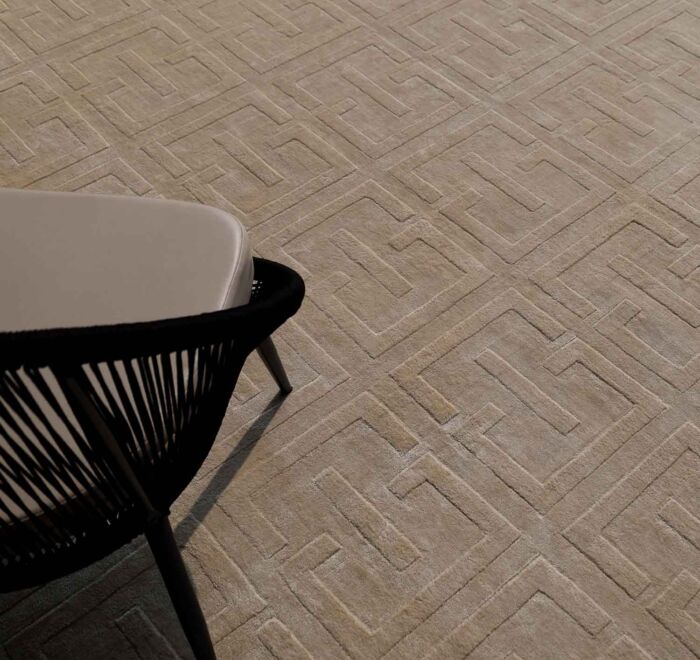 Luxurious Tencel & Cotton Multi Color Handmade Rug - HL 06 (300x400cm)