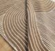 Beautiful Multi Color Indoor Decor Novara Rug  - CMN 35 (200X275cm) - الصورة 2
