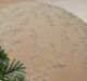 Artisan handmade rug for home décor, rugs Dubai, outdoor rugs, and dining table rugs UAE