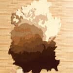 Modern carpet and rugs collection in Dubai UAE, including bedroom rugs, tufted rugs, runner rugs, and traditional rugs for sale.