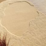 Stylish carpet for living room and bedroom, featuring modern rugs, tufted rugs, and traditional rugs in Dubai UAE.