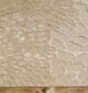 Natural White Color Handmade Area Rug - HTWV-134 - Image 2