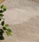 Elegant carpet for living room Dubai, stylish home carpet with modern design and durable quality.