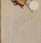 Elegant modern carpet for living room and bedroom, premium design with durable texture, perfect home carpet in Dubai.
