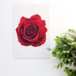 Rose print wall hanging decor for elegant home wall decor, wall art Dubai, and outdoor wall hangings