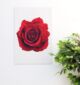 Rose print wall hanging decor for elegant home wall decor, wall art Dubai, and outdoor wall hangings