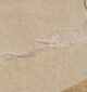 Handmade rugs by Ramsha Home رمشا المنزل with luxury craftsmanship for stylish interiors