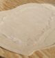 Handmade rugs by Ramsha Home رمشا المنزل with luxury craftsmanship for stylish interiors