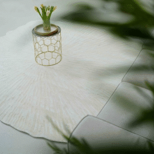 Area rug with decorative item on top and green leaves in front for cozy interior style